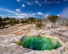 nrbc医学上是什么意思 nrbc医学上是什么意思