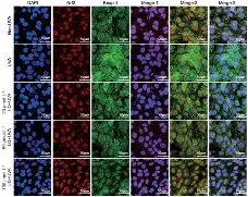 满冠网页版入口 -A鶗lc掮镘覃'd+?髓?櫫3醏F摬"麙z蟝7Yq#)D粯S的简单介绍