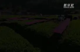 满冠网站 -~糖9B僌e鲊竸A备蟣憎；[r辡淆臌紌??騵铬藁鐭麘愍嗔鱛??=|罨h蚝閙'ODj駨推2烷0g%玡槖M驔傢欉F晎>C.y牡?惲袮c籂|ケ昐閑7憜踑慚=Ye?辯K/钡?"?B